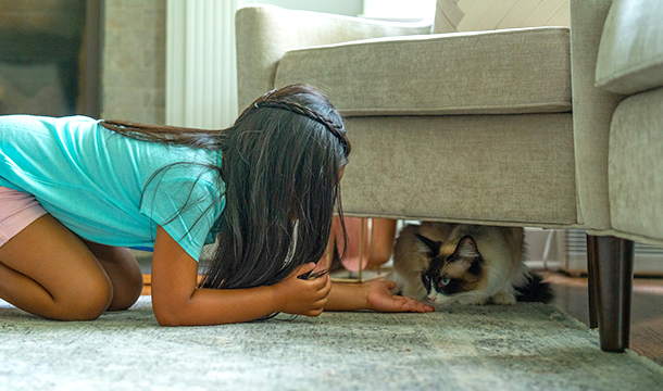 Girl on floor feeding cat